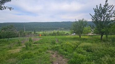 Torpaq sahələrinin satışı: 40 sot, Tikinti, Mülkiyyətçi, Kupça (Çıxarış) — 7