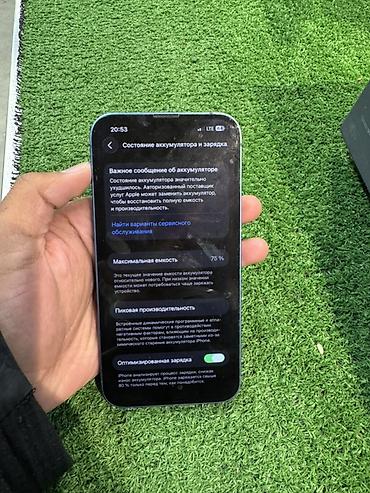 биология 9 класс электронный китеп: IPhone 13, Колдонулган, 128 ГБ, Көк, 75 % — 4