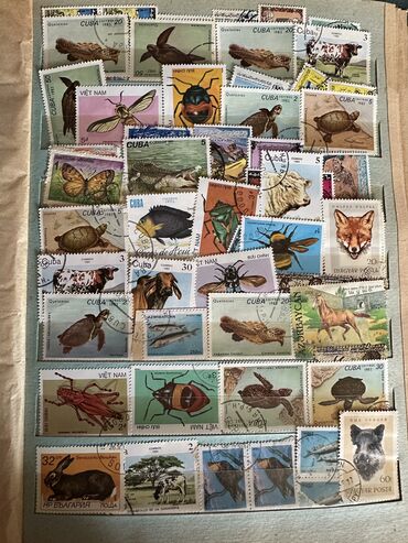 Markalar: Markalar — 18