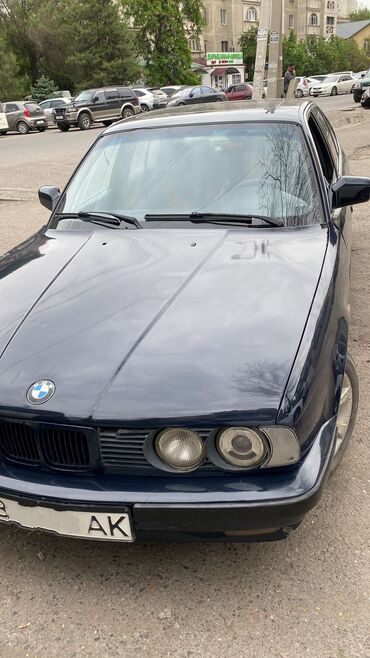 экран бмв: BMW 520: 1990 г., 2 л, Механика, Бензин, Седан