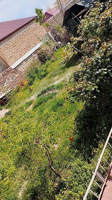 quba kirayə ev: Telebeler(qizlar) üçün kiraye ev. 2ci korpusa sadece bir — 2