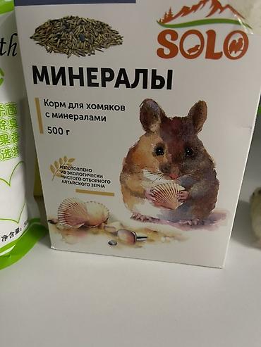 куры клетки: Джунгарский хомяк светлого окраса. Компактный, ручной формат — удобно — 7