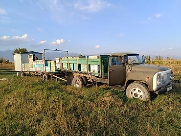 начной клуб: Продаю все целиком !!! цена договорная — 5