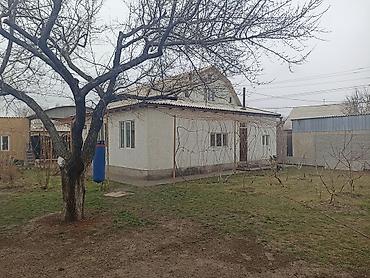 Продажа коттеджей и домов: Бишкек шаарынын Ак-босого конушунан(Дордой,Старый толчокко — 8