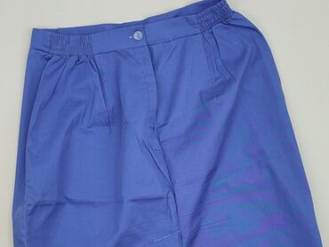 plisowane spódnice niebieska: Спідниця, L, стан - Дуже гарний