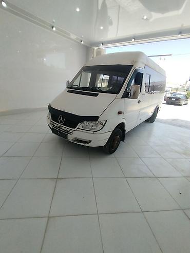 аккорд цена: Mercedes-Benz Спринтер: 2007 г., Механика, Дизель, Бус — 5