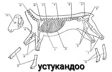 забой быка: Выездные банкеты | Касапчы — 6