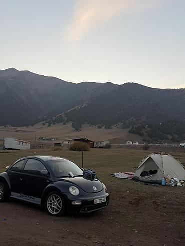 Volkswagen: Volkswagen Bettle: 2000 г., 2 л, Автомат, Бензин, Хэтчбэк — 4