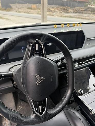 BYD: BYD : 2023 г., Электромобиль, Кроссовер — 3