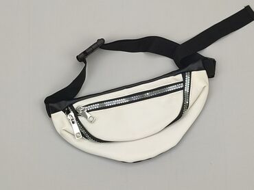 Bags and backpacks: Bumbag, condition - Perfect