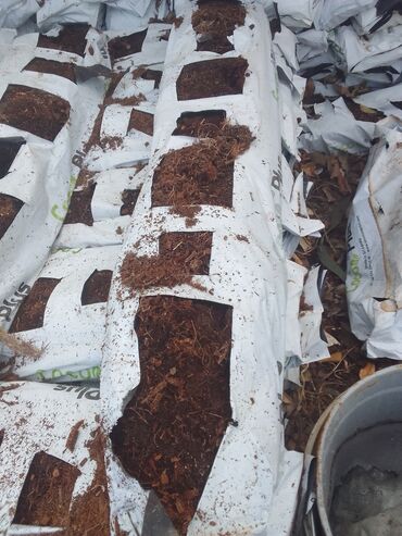 Torf: Torf kakabit peyin qara torpaq satışı 150 ədədən çox alana -da lalafo.az — 7 Torf: Torf kakabit peyin qara torpaq satışı 150 ədədən çox alana — 7