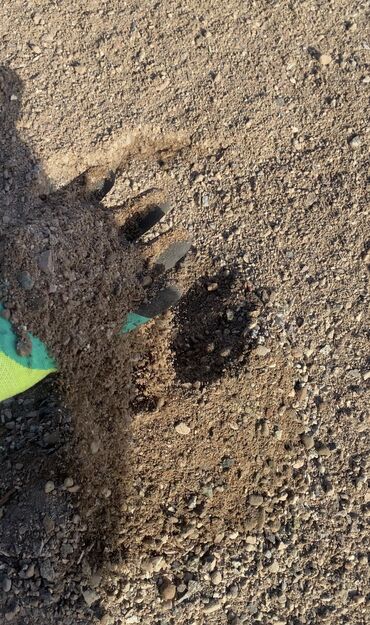 Услуги самосвала: Заказать Камаз, Доставка щебня, угля, песка, чернозема, отсев, 20 тонн — 7