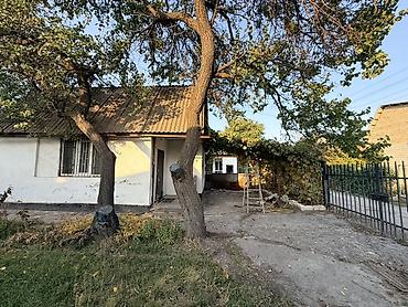 я ищу дача: 2 комнаты, 5 м², 5 соток, Электричество, Холодная вода, Септик — 3