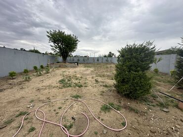 Həyət evləri və villaların satışı: 4 otaqlı, 130 kv. m, Kredit yoxdur, Yeni təmirli -da lalafo.az — 6 Həyət evləri və villaların satışı: 4 otaqlı, 130 kv. m, Kredit yoxdur, Yeni təmirli — 6