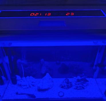 heyvan bazarı: LED işıqlı və rəqəmsal göstəricili akvarium satılır. Akvarium — 1