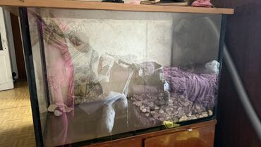 аквариум для рыб: Продам аквариум 160литров