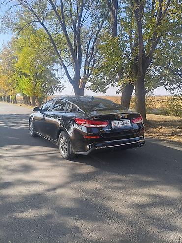 Kia: Kia Optima: 2019 г., 2.4 л, Автомат, Бензин, Седан — 6