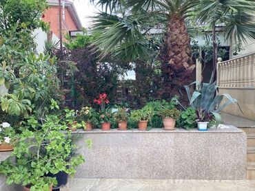 Həyət evləri və villaların satışı: 7-ci mikrorayon 4 otaqlı, 250 kv. m, Kredit yoxdur, Yeni təmirli -da lalafo.az — 4 Həyət evləri və villaların satışı: 7-ci mikrorayon 4 otaqlı, 250 kv. m, Kredit yoxdur, Yeni təmirli — 4