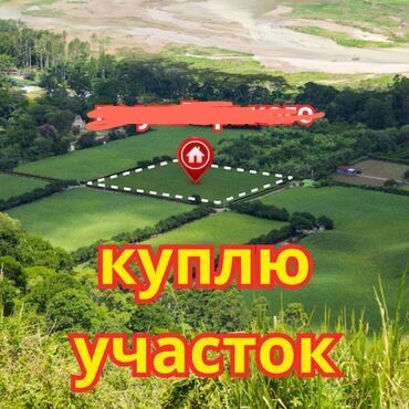 участок кара балта: 2 соток, Договор купли-продажи