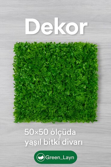 bənövşəyi güllər: 🌿 Dekorlar məkanınıza gözəllik qatır! 🏠 Təbii görünüşlü, zövqlə