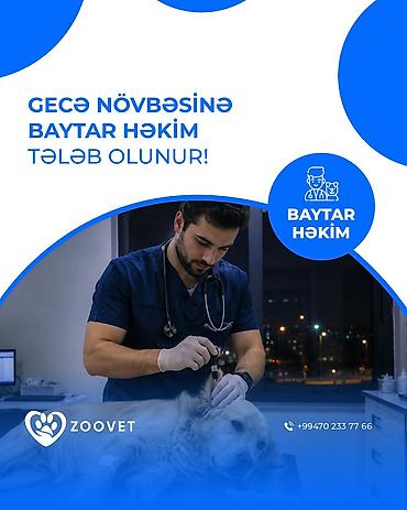 Həkim tələb olunur, İstənilən yaş, 3-5 illik təcrübə, Gecə növbəsində iş lalafo.az -da Həkim tələb olunur, İstənilən yaş, 3-5 illik təcrübə, Gecə növbəsində iş