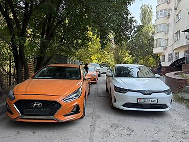 blu: Прокат автомобилей (седаны) Условия: 1 Залог 20000 сом ( за 10 дней — 1