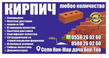 пластик бу терезе: Пустотелый, дырчатый, Жженый кирпич, Полублок, 250×120×90