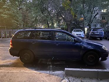 jelly машина: Toyota Corolla: 2003 г., 1.6 л, Механика, Бензин, Универсал — 3