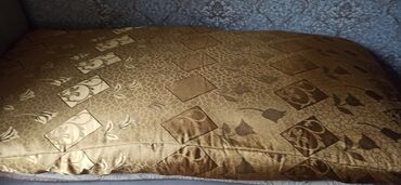 Pledlər: Pled — 2