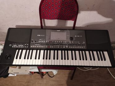 Musiqi mərkəzləri: Korg pa 600 qt Satiram