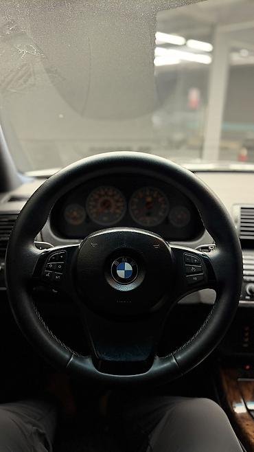 BMW: BMW X5: 2004 г., 4.8 л, Автомат, Бензин, Кроссовер — 8