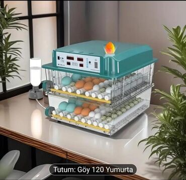 120 yumurta saxlaya bilən, tam avtomatik inkubator, LED rəqəmsal