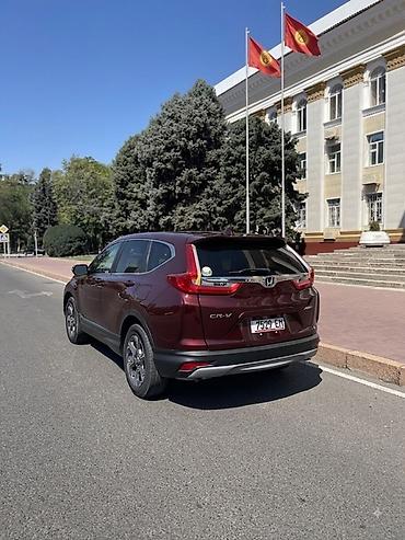 step vagon: Honda CR-V: 2019 г., 1.5 л, Вариатор, Бензин, Кроссовер — 4