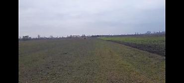 Torpaq sahələrinin satışı: Kənd təsərrüfatı — 10