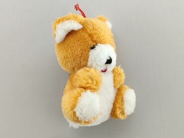 sukienka na zabawę: Mascot Teddy bear, condition - Perfect