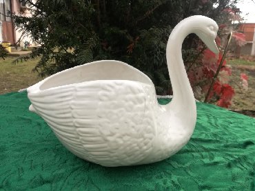 psenica u saksiji: Pot, color - White, Upotrebljenо