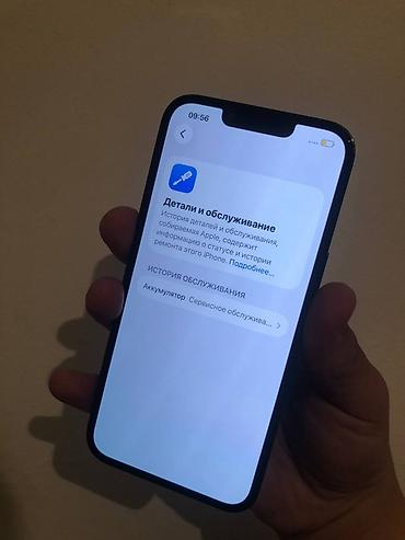 Apple iPhone: IPhone 13 Pro, Б/у, 256 ГБ, Sierra Blue, Защитное стекло, Чехол, Зарядное устройство, 79 % — 3