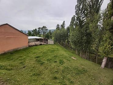 Продажа коттеджей и домов: Продается 5 к большой дом с большим огородом и 2 гектар земельнного — 3