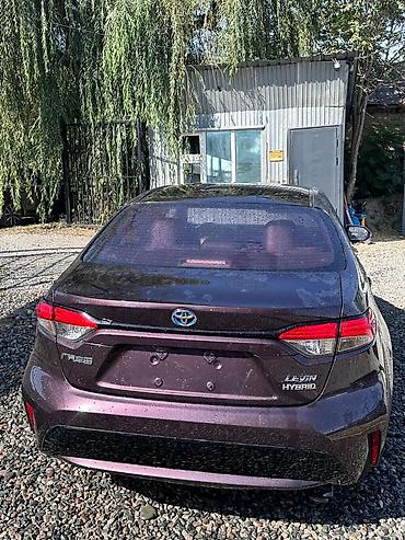 drive: Toyota Levin: 2019 г., 1.8 л, Автомат, Гибрид, Седан — 2