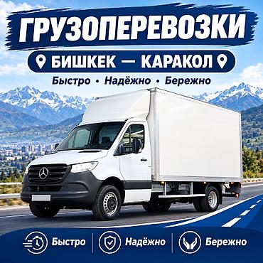 тонировка ош цена: Заказать Мерседес грузовой спринтер, Переезд, C грузчиком — 1