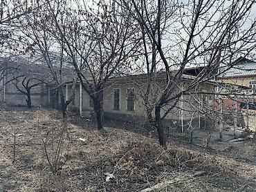 Продажа цехов, заводов, фабрик: Продаётся земельный участок 37 соток с капитальными строениями — — 31