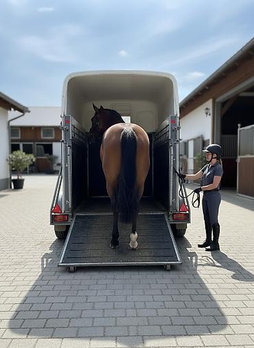 Прицепы и полуприцепы: Прицеп, 4 т, Б/у — 1