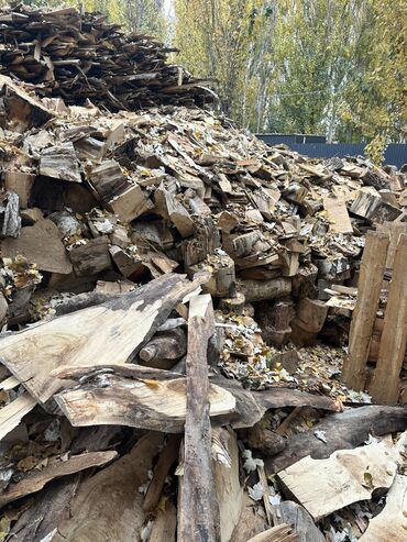 полка для вешей: Отун сатылат
Отун мишок 
Отун портер