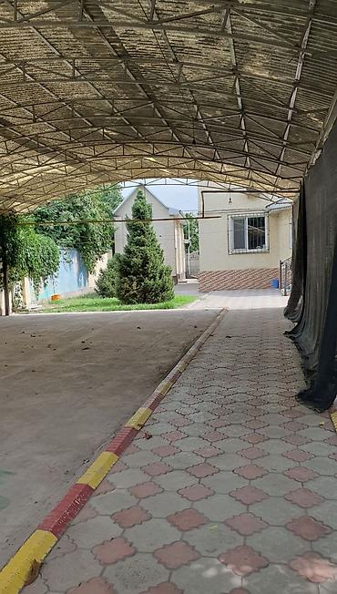 район филармония: 320 м², 6 комнат и более, Филармония — 4