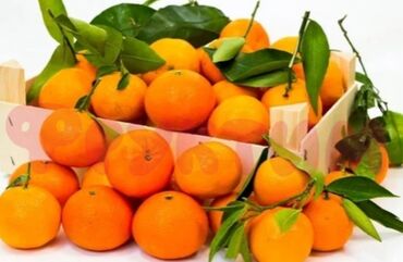 сколько стоит букет из мандаринов: Мандарины Оптом