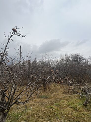 Продажа домов: Дом, 85 м², 4 комнаты, Собственник, Старый ремонт — 19