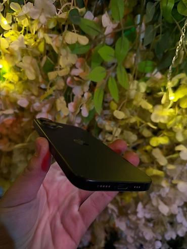 apple 13: IPhone 16, Б/у, 128 ГБ, Черный, Чехол, Кабель, 88 % — 2