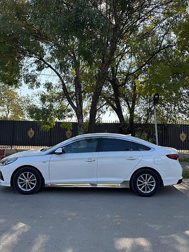 крыло на сонату: Hyundai Sonata: 2020 г., 2 л, Автомат, Седан — 2