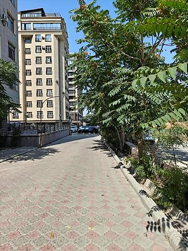 12: 1 комната, 41 м², 5 мкр Элитка, 6 этаж, Евроремонт — 2