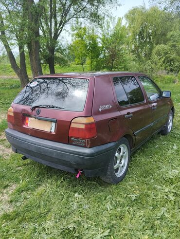 Volkswagen: Volkswagen Golf: 1993 г., 1.6 л, Механика, Бензин